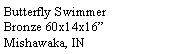 Text Box: Butterfly SwimmerBronze 60x14x16�Mishawaka, IN